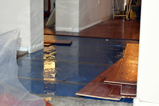 Professional Sewage Cleanup technician working in Montville, CT
